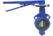 Picture of Butterfly Valve Buyer's Guide