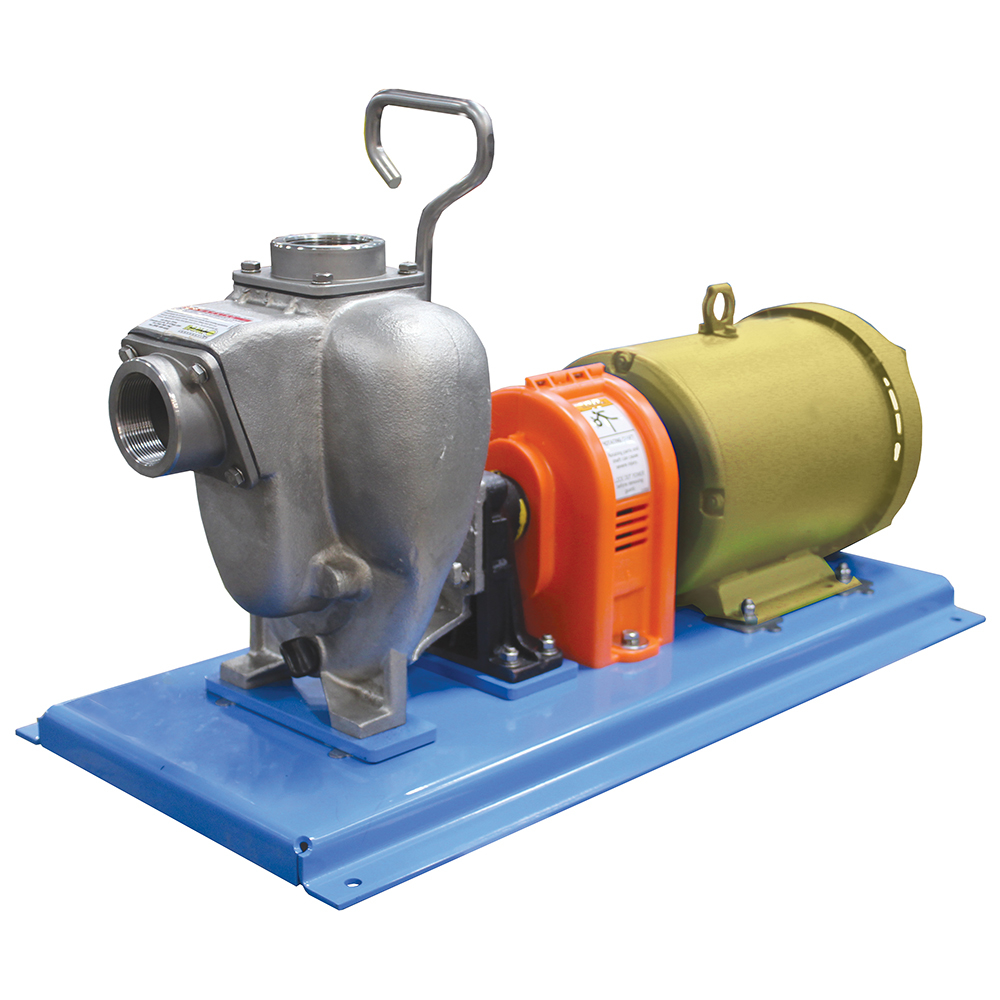 Stainless Transfer Pump with Orange Peel Guard and Electric Motor