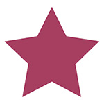 Star Icon representing Dultmeier technical experts.