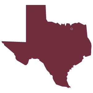 State of Texas Tax Forms
