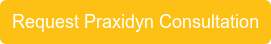 Request Praxidyn Consultation